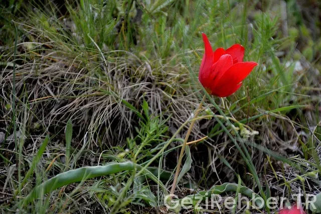 Manisa Gezi Fırsatları