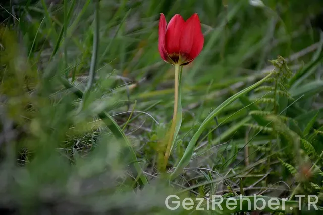 Manisa Gezi Fırsatları