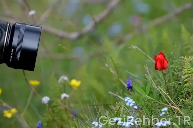 Manisa Gezi Fırsatları