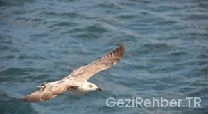 Mardin Gezi Fırsatları
