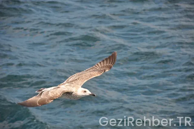 Mardin Gezi Fırsatları