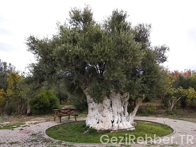 Mersin Gezi Fırsatları