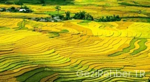 Muş Gezi Fırsatları