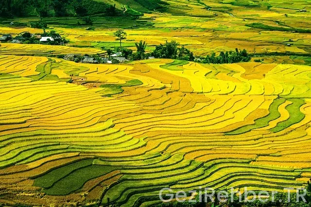 Muş Gezi Fırsatları Muş Gezi Fırsatları