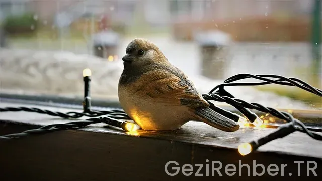 Muş Gezi Fırsatları Muş Gezi Fırsatları