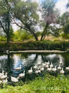 Osmaniye Gezi Fırsatları