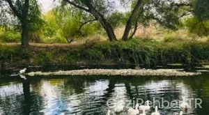 Osmaniye Gezi Fırsatları