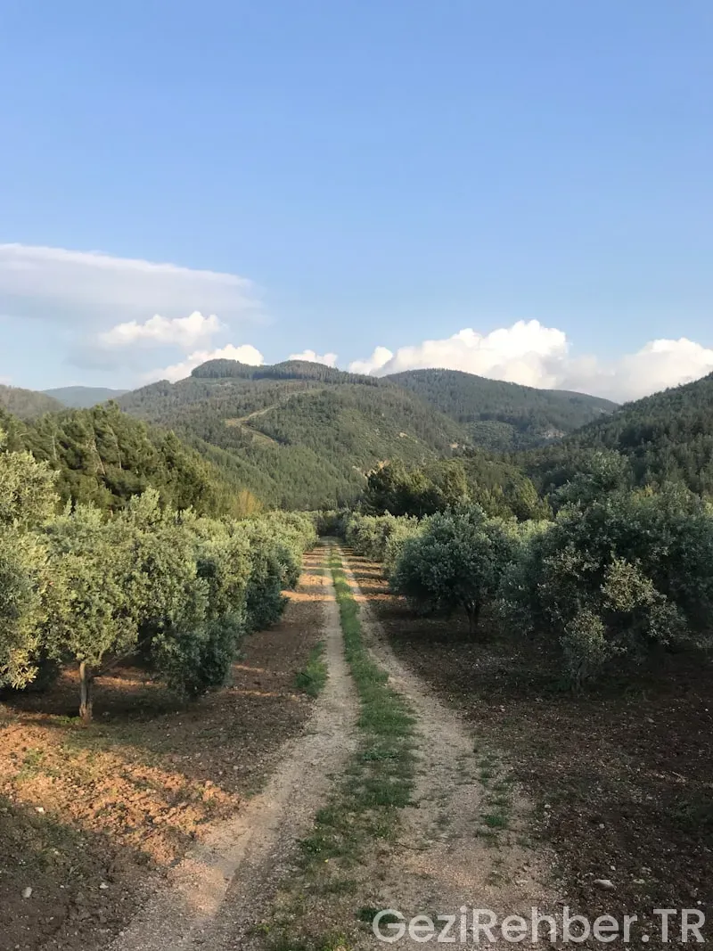 Osmaniye Gezi Fırsatları
