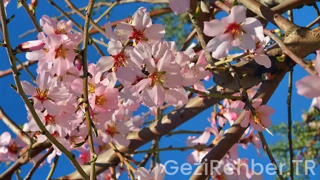 Tekirdağ Gezi Fırsatları