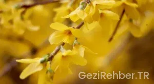 Tunceli Gezi Fırsatları