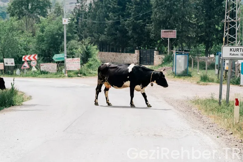 Yalova Gezi Fırsatları