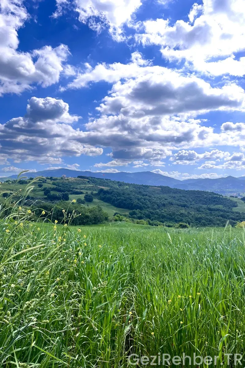Yalova Gezi Fırsatları