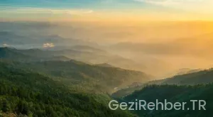 Artvin Gezi Rehberi: Yeşilin Her Tonu