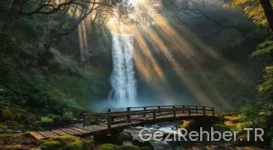 Düzce Gezi Rehberi: Doğanın Kalbine Yolculuk