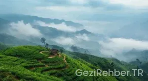 Giresun Gezi Rehberi: Yeşilin Kalbi