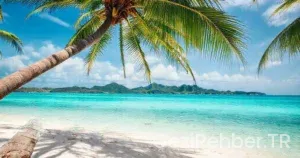 Karayiplerin İncisi: Dominik Gezi Rehberi