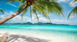 Karayiplerin İncisi: Dominik Gezi Rehberi