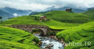 Rize Gezilecek Yerler: Yeşil Cennetin Keşfi