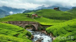 Rize Gezilecek Yerler: Yeşil Cennetin Keşfi