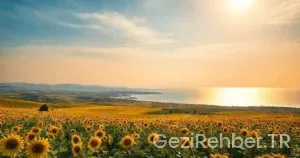 Tekirdağ Gezi Rehberi: Trakyanın İncisi