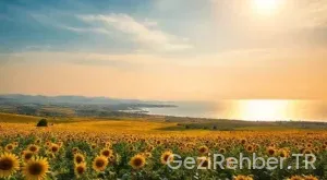 Tekirdağ Gezi Rehberi: Trakyanın İncisi