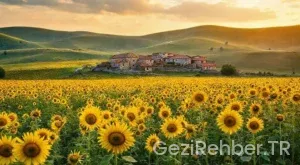 Trakyanın İncisi: Kırklareli Gezilecek Yerler