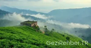Yeşilin Kalbi Trabzonda Gezilecek Yerler