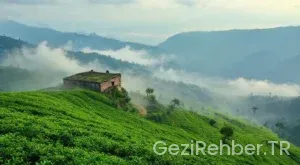 Yeşilin Kalbi Trabzonda Gezilecek Yerler