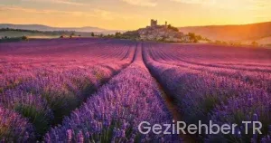 Fransada Görülmesi Gereken Eşsiz Yerler