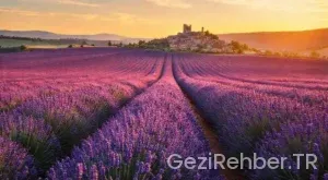 Fransada Görülmesi Gereken Eşsiz Yerler