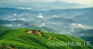 Karadeniz Gezi Rehberi: Yeşilin Her Tonu