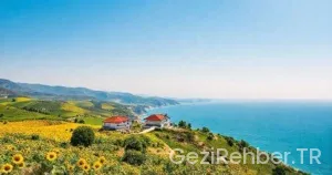 Tekirdağ Gezi Rehberi: Görülmesi Gereken Yerler