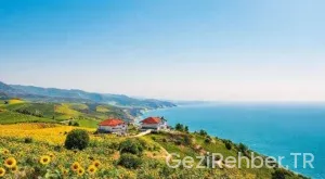 Tekirdağ Gezi Rehberi: Görülmesi Gereken Yerler